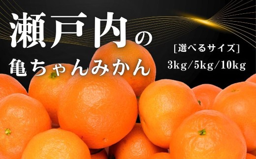 
                  瀬戸内の亀ちゃん みかん 3kg/5kg/10kg 選べるサイズ 11～2月発送  国産 瀬戸内 広島 大崎上島 離島 糖度 濃厚 柑橘 ミカン たっぷり お裾分け 産地直送 亀田農園
                
