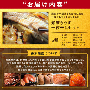 知床らうす 一夜干しセット　5種｜一夜干し　北海道