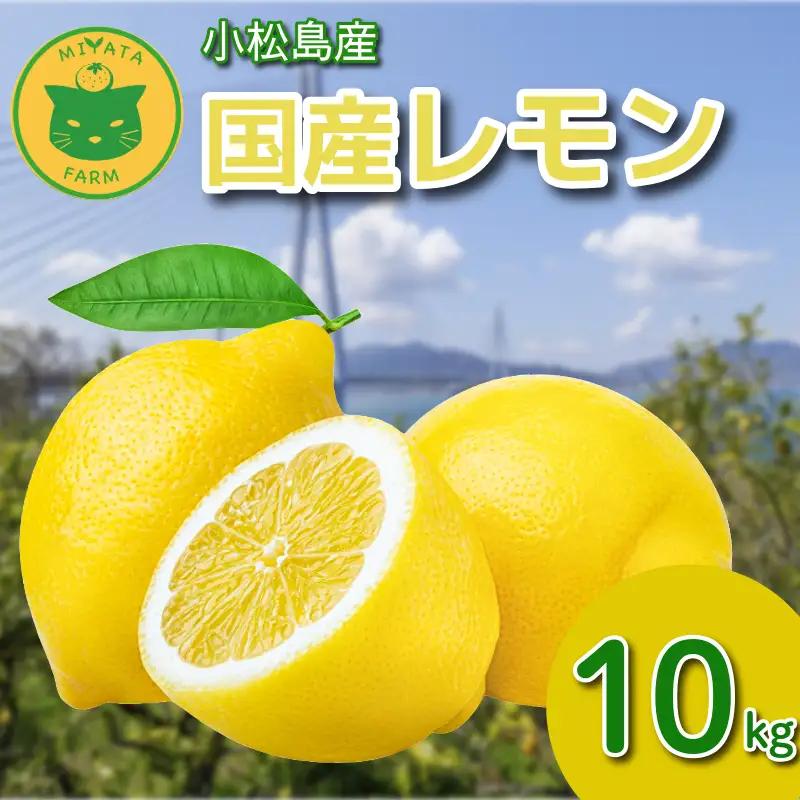 【2026年10月発送】 レモン 10kg 秀品  国産 檸檬 ワックス不使用 防腐剤不使用 