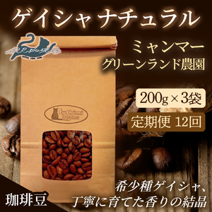 No.3276【12回定期便】珈琲豆 ｹﾞｲｼｬﾅﾁｭﾗﾙ ﾐｬﾝﾏｰ【豆】希少種 焙煎 200g×3袋