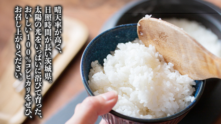 【令和7年】茨城県産 コシヒカリ 5kg 令和7年産 新米 単一原料米 精米 米 お米 コメ 白米 こしひかり 茨城県 [BC084sa]