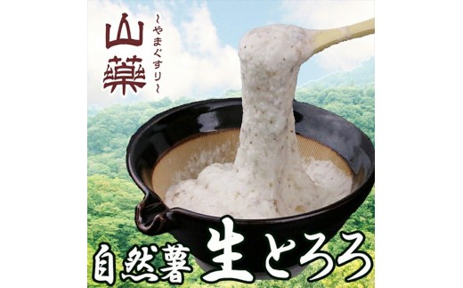 
                  自然薯の味をお楽しみください。自然薯生とろろ100ｇ×10ｐセット【とろろ 極上とろろ 山芋 お家用 家庭用 国産 セット商品 自然薯 神奈川県 小田原市 】
                