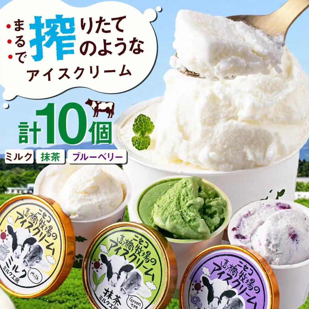 カップアイスクリーム 10個 アイスクリーム AJAI011