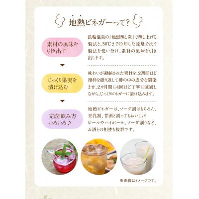 ふるさと納税 別府市 地熱ビネガー レギュラーボトル3種セット (桃薫いちご・黄金かぼす・梅と紫蘇) |  | 01