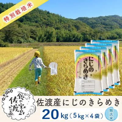 ふるさと納税 佐渡市 佐渡島産にじのきらめき 無洗米20Kg(5Kg×4袋) 【令和7年産】特別栽培米