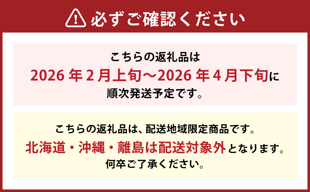博多あまおう（春） 2パック