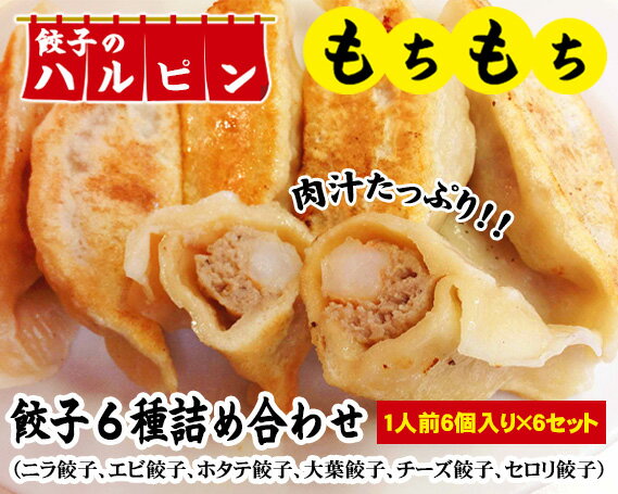 【ふるさと納税】餃子6種詰め合わせ　6人前＜餃子のハルピン＞ ／ ぎょうざ ギョーザ 計36個 中華 冷凍 送料無料 東京都 [No.060]