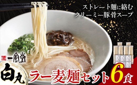 ラーメン 一風堂 白丸 ラー麦麺 セット 6食 地域商社ふるさぽ《90営業日以内に出荷予定(土日祝を除く)》福岡県 鞍手町 ラーメン とんこつ 豚骨スープ 豚骨ラーメン ラー麦 麺