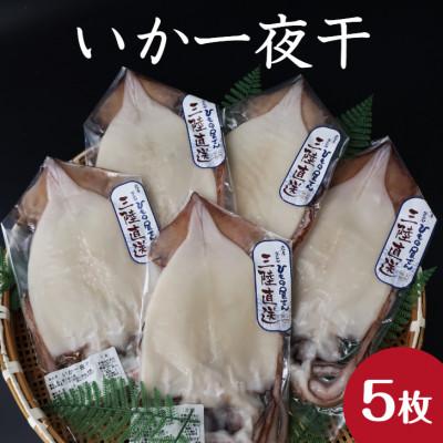 ふるさと納税 釜石市 釜石ひもの屋さんのいか一夜干 1枚×5袋