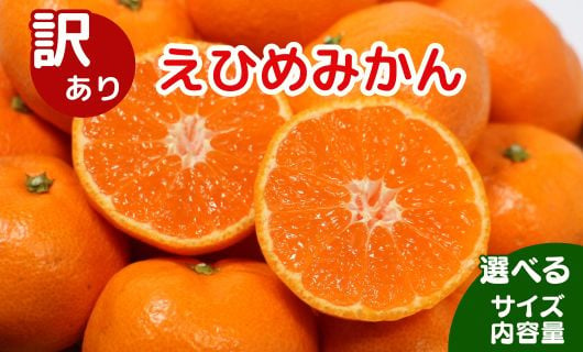 
            【先行受付】選べるサイズ・内容量 訳あり 清家ばんかんビレッジの愛媛みかん (傷み保証250g) 【発送期間 11月上旬～】 2kg 5kg 10kg 小玉 みかん 愛媛みかん 温州みかん 有田みかん 南柑20号 柑橘 蜜柑 かんきつ 冬 旬 おすそ分け シェア 愛媛県 愛南町 お歳暮 プレゼント くだもの 果物 フルーツ スイーツ おやつ お菓子 甘い 糖度  みかん 清家ばんかんビレッジ
          