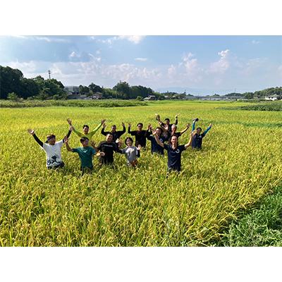 ふるさと納税 草津市 環境こだわり認証米　元気の気『コシヒカリ』白米5kg |  | 01