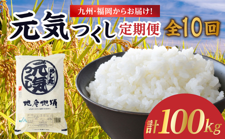 九州・福岡からお届け！ブランド米「元気つくし」定期便 10kg(5㎏×2)【全10回】 お米 米 コメ 白米 特A 直送 お弁当 おにぎり 炊きたて ツヤ 粘り もちもち 弾力 卵かけご飯 福岡県 八女市 072-T156