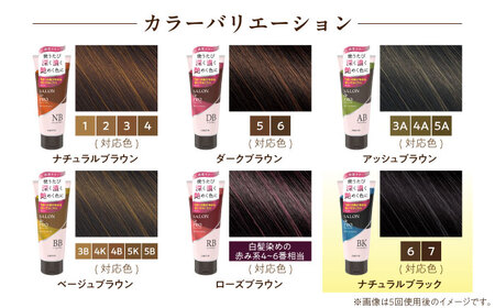 ダリヤ サロンドプロ カラートリートメント 3個セット【ナチュラルブラック】 / 稲沢市 / 日興商事株式会社 [BMBK003-06]