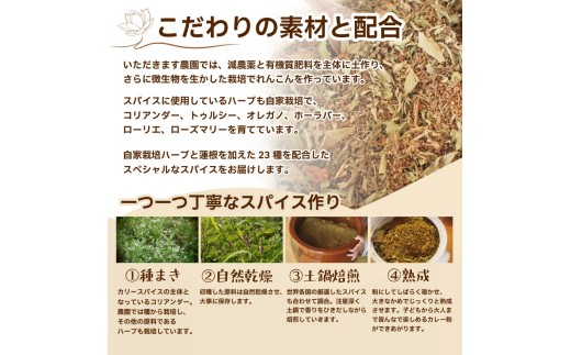 オリジナル スパイス 七味マサラ 単品 万能 塩 ソルト 七味 マサラ 徳島 蓮根 柚子 野菜 マンゴー ハーブ ウコン トウガラシ 自家栽培 風味 アウトドア 厳選 オリジナル調味料 調味料 カレー