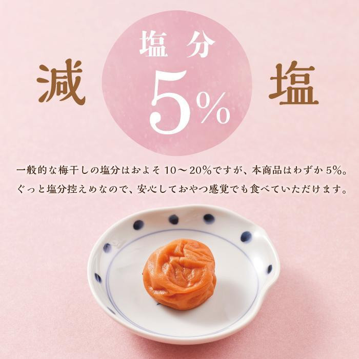 紀州南高梅 訳あり はちみつ梅 塩分5％ 2.4kg（300g×8パック）