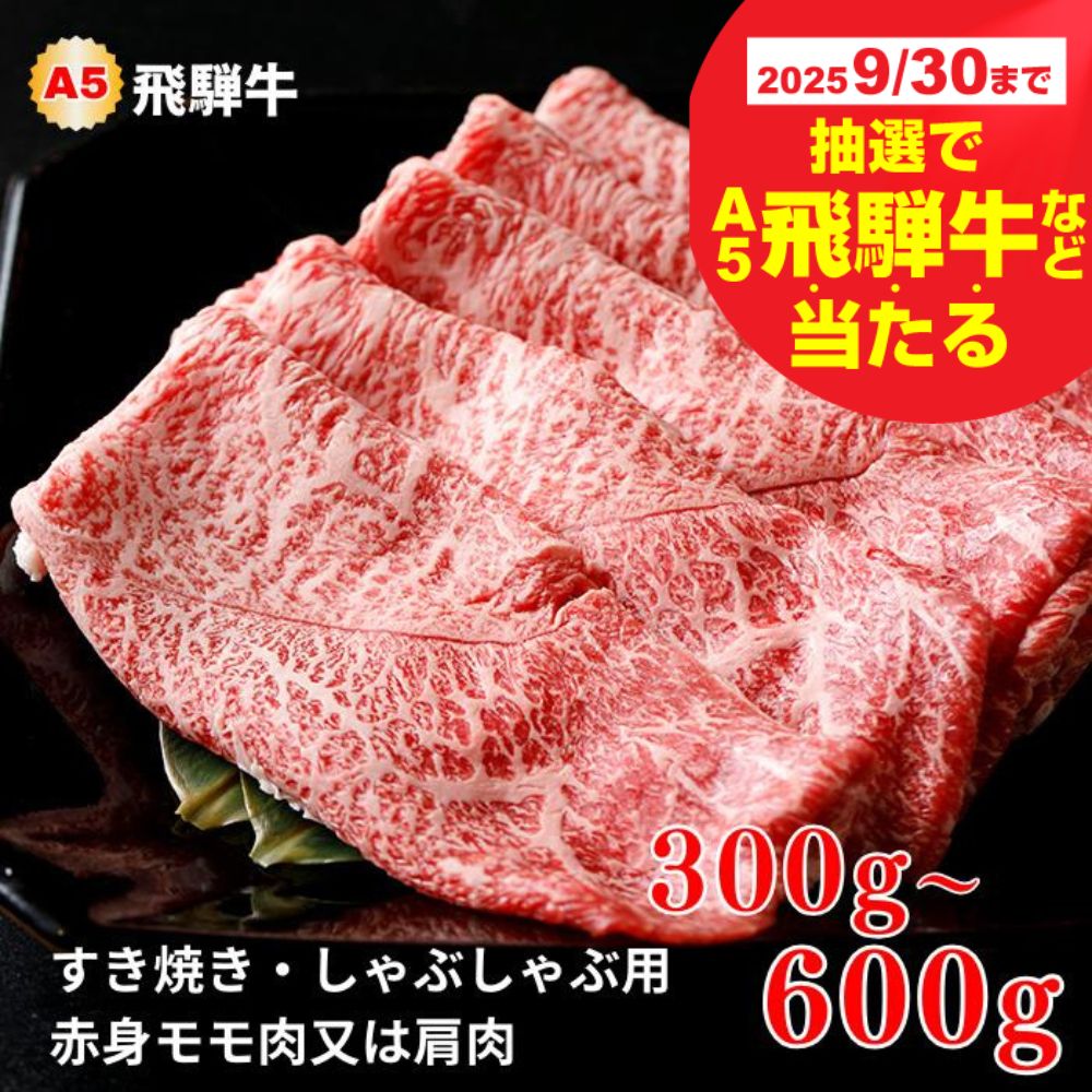 【ふるさと納税】【9月30日〆飛騨牛が抽選で当たる】 A5 飛騨牛 すき焼き / しゃぶしゃぶ 赤身モモ肉 / 肩肉 300g〜600g 食べ比べ 赤身 霜降り 飛騨牛 牛肉 肉 黒毛和牛 希少部位 国産 厳選 ブランド牛 人気 ランキング お取り寄せ 高級 岐阜県 大垣市
