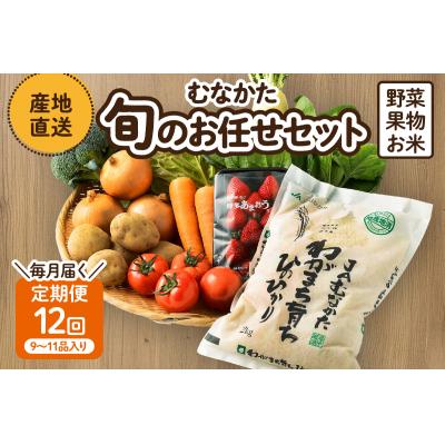 ふるさと納税 宗像市 【定期便/年12回/毎月お届け】むなかた旬のお任せセット【ほたるの里】_HB0029