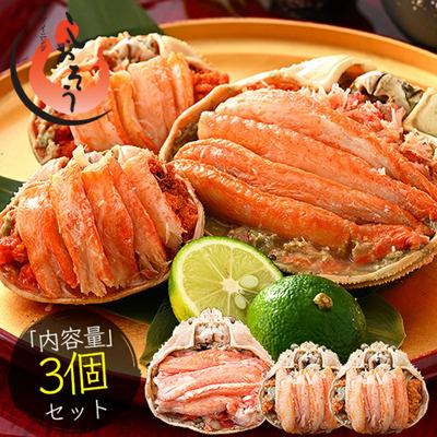ふるさと納税 敦賀市 ズワイ 甲羅盛り(1個) と セイコ蟹 甲羅盛り(2個) セット【しおそう かに 蟹】