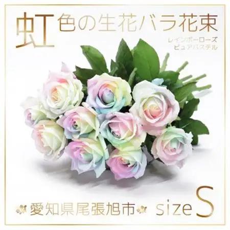 生花 レインボーローズ 花束 ピュアパステル Sサイズ : 愛知県尾張旭市 10本【配送不可地域：離島・北海道・沖縄県・東北・中国・四国・九州】【1547623】