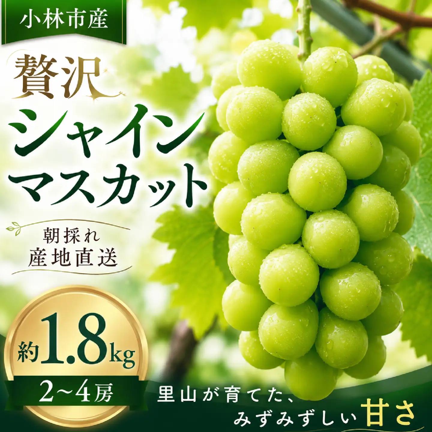 ぶどう 贅沢シャインマスカット1.8kg程度 フルーツ ぶどう マスカット 