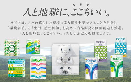 ネピア鼻セレブティシュ3箱×10パック