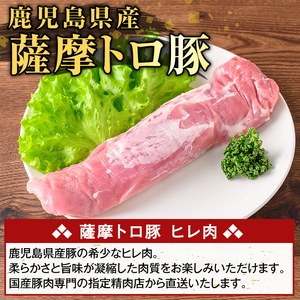 K-486-B 鹿児島県産 薩摩トロ豚 ヒレ肉(計600g)【ふるさと産直バザール】霧島市 ヒレ肉 国産 鹿児島県産 肉 精肉