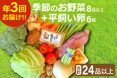 B-810【3回定期便】季節のお野菜と平飼い卵のセット (8～10品)