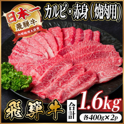 【ふるさと納税】飛騨牛　厳選カルビ・赤身(焼肉・BBQ用)　計1.6kg(各800g)　黒毛和牛　小分け【配送不可地域：離島】【1667428】