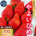 【ふるさと納税】【 先行予約 】 いちご 「 やよいひめ 」約350g×2パック 《 配送時期が選べる / 1月 2月 3月 4月 5月 》 群馬県 千代田町 大粒 完熟収穫 新鮮 数量限定 甘い 贅沢 ご褒美 イチゴ ストロベリー 贈答 贈り物 ギフト プレゼント 果物 春 旬