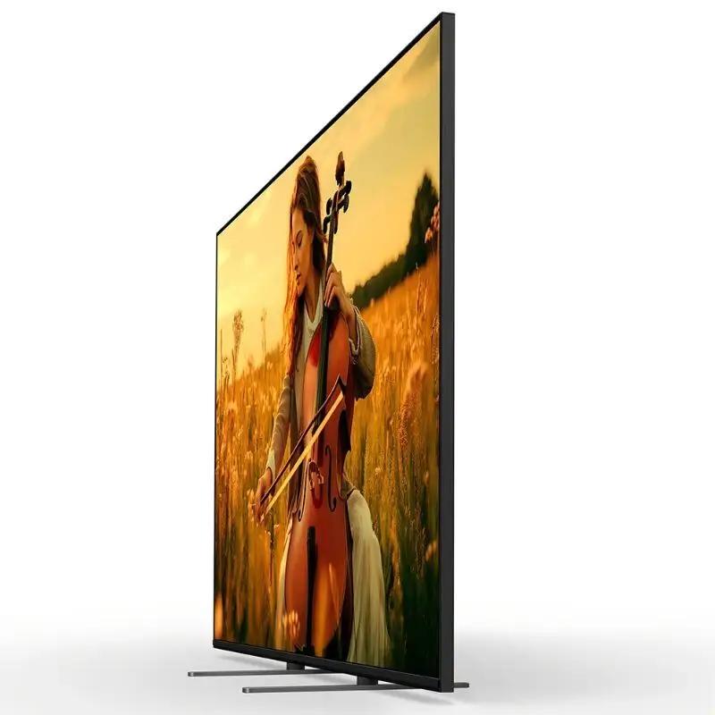 【厚木市ふるさと納税限定セット】 ソニー 4K 液晶テレビ BRAVIA5 55型 （設置あり）・ デジタル 一眼カメラ α7C II ラック ズームレンズキット 【9月末掲載終了】 テレビ てれび 