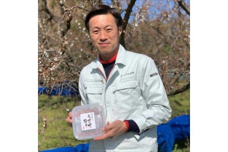 【0533-5】紀州南高梅 はちみつ梅500g、うす味梅500g 食べ比べセット