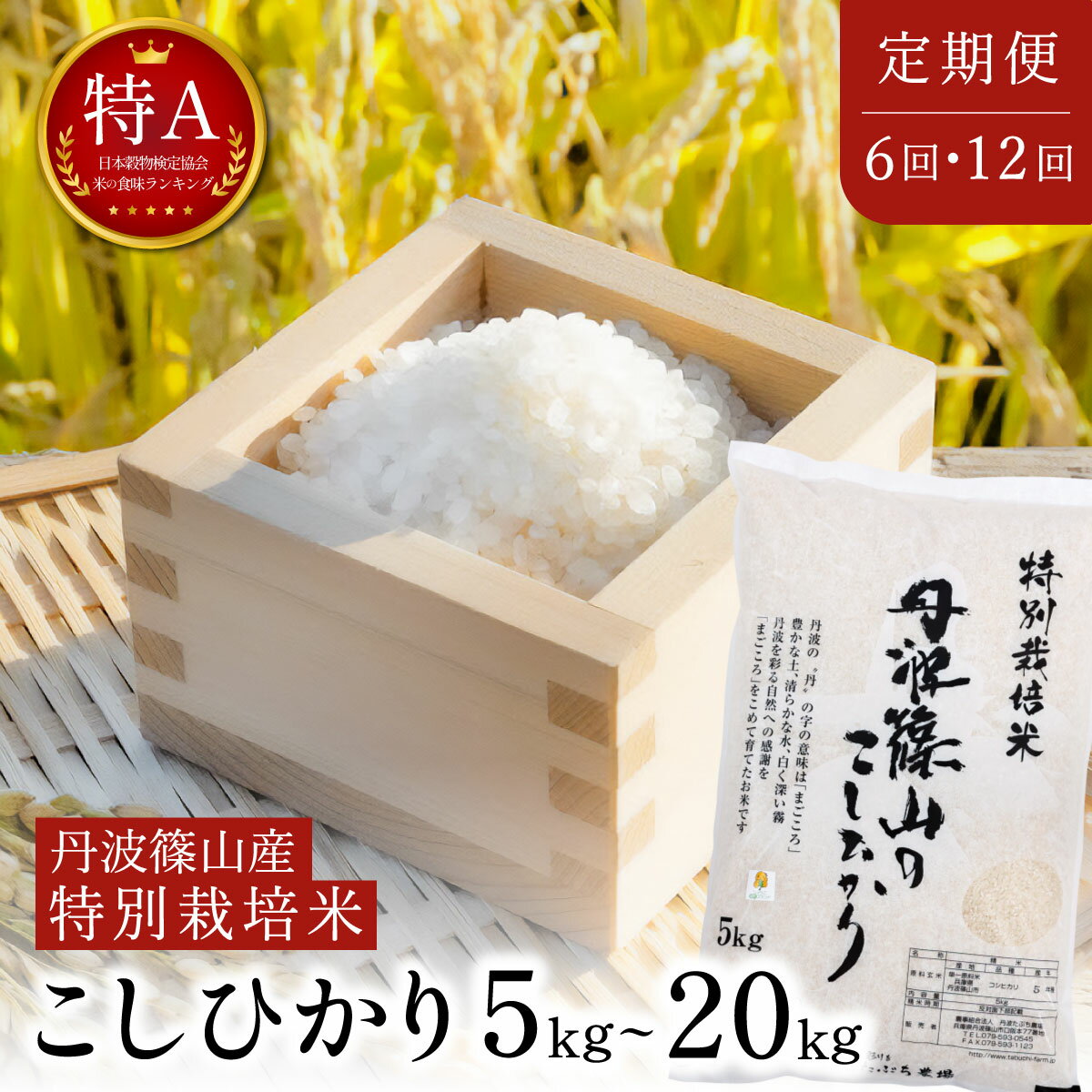 【ふるさと納税】【定期便】【特A 減農薬 特別栽培米】丹波篠山産 コシヒカリ 定期便 〈5kg 10kg 20kg 6回 12回 7年or8年〉 丹波篠山産 コシヒカリ特別栽培米 減農薬 特A 精米 こしひかり 兵庫県 丹波篠山市 白米 100％単一原料米 産地直送米