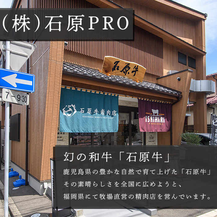 石原牛 霜降りロース 焼肉用(300g) 黒毛和牛 国産 九州産 鹿児島県産 ブランド牛 焼肉 BBQ 牛肉 和牛 霜降り ロース 冷凍 贅沢 贅沢な一品 贈答用 ギフト用【株式会社石原PRO】a-2