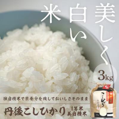 ふるさと納税 京丹後市 令和8年産　丹後こしひかり1等米3kg　美白精米