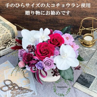 ふるさと納税 春日部市 プリザーブドフラワーアレンジ【ルクール/ディープルビー】春日部市 シュガーパイン