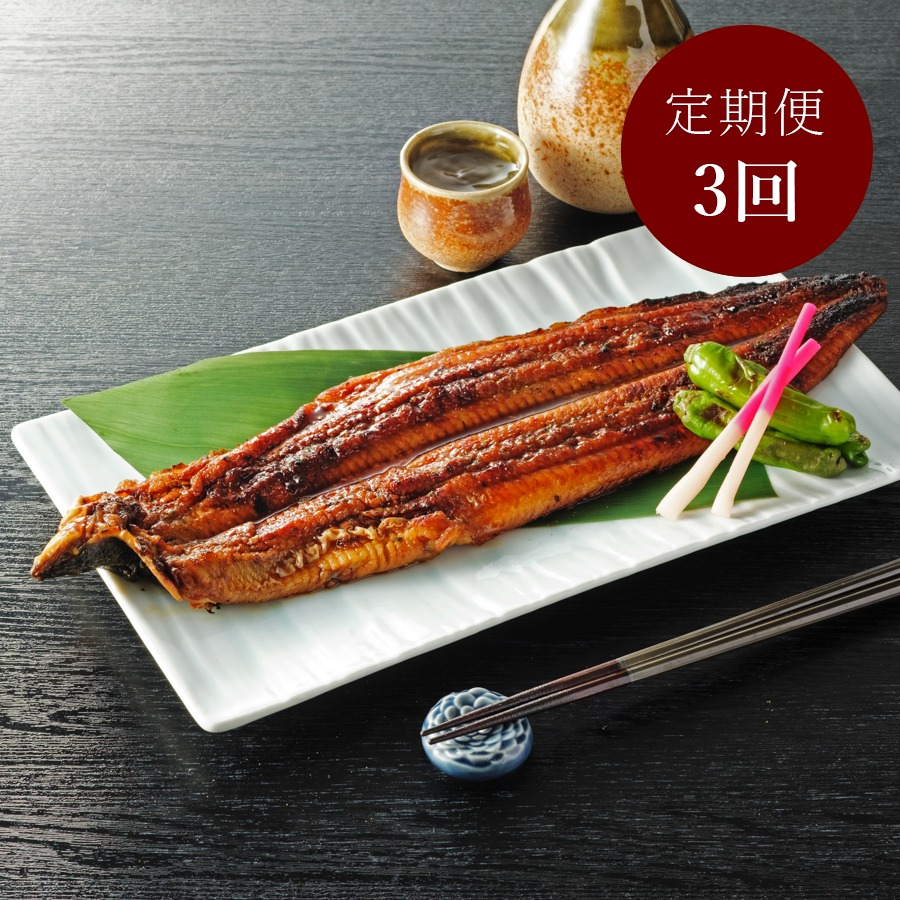＜福井鮮魚＞紀州備長炭焼き鰻「蒲焼き」2尾【3ヵ月定期便】