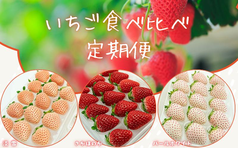 
                  先行受付！2027年発送！【選べる定期便】佐賀県産 ３種いちご食べ比べ 苺 イチゴ さがほのか パールホワイト 淡雪
                
