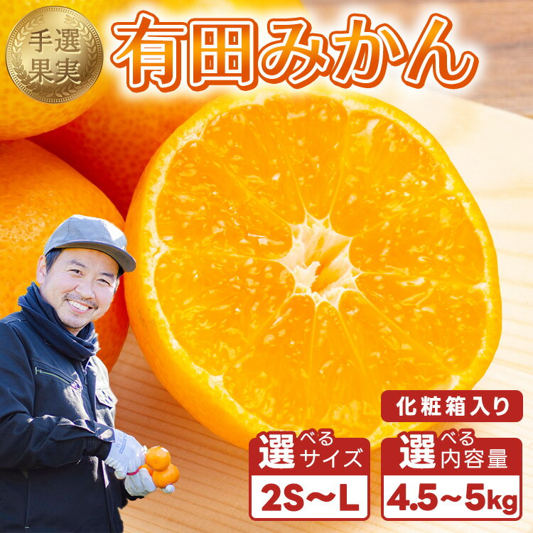 【ふるさと納税】＼選べる内容量・サイズ／和歌山の有田みかん 化粧箱入り｜まごころ手選別 ミカン 蜜柑 温州みかん 柑橘 和歌山 ギフト 贈答 ※2025年11月上旬～2026年1月下旬頃に順次発送予定