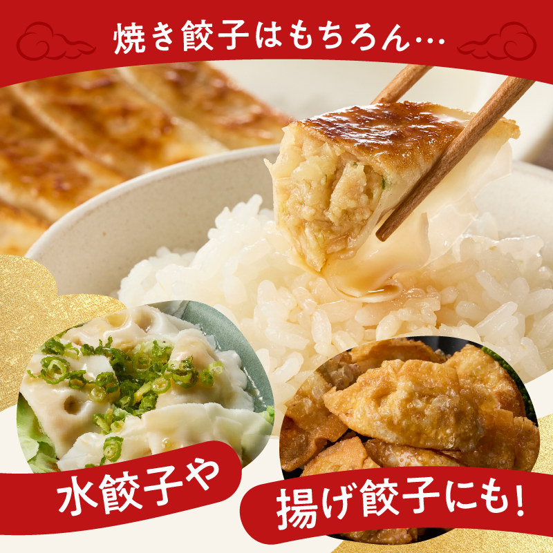餃子　40個×4袋セット 餃子 中華 国産 豚肉 鶏肉 焼き餃子 揚げ餃子 水餃子 セット ランチ ディナー