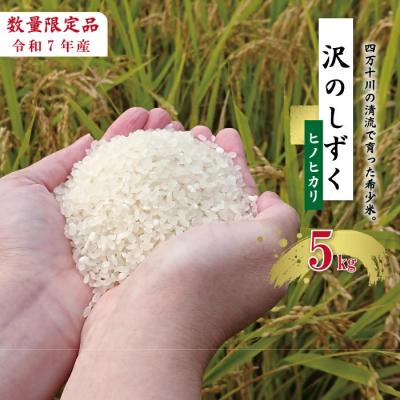 ふるさと納税 四万十市 【令和7年産】沢のしずく(ヒノヒカリ)5kg