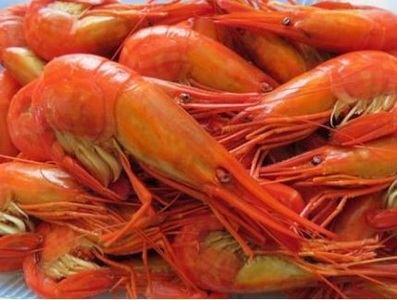 新物6月配送 北海縞海老（シマエビ) 500g Sサイズ 40~44尾 えび しまえび 北海道しまえび エビ 海老 冷凍 ボイル済 冷凍