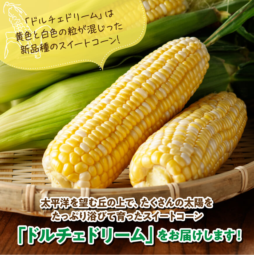 【令和7年発送】朝どれ！守部さんちのドルチェドリーム5kg【 とうもろこし スイートコーン トウモロコシ スィートコーン 令和7年発送 】[D06402]