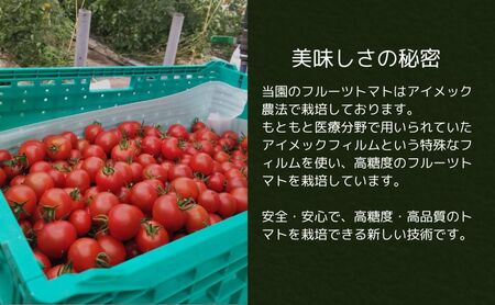 トマト フルーツトマト 1.2kg～1.8kg 1箱 フルティカ 藤沢市 野菜 とまと ミニトマト ハウス栽培
