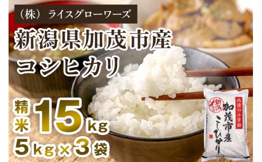 【令和7年産】新潟県加茂市産コシヒカリ 精米15kg（5kg×3）《順次出荷 》 新潟県産コシヒカリ 新潟産コシヒカリ 新潟コシヒカリ 新潟県産こしひかり 新潟産こしひかり 新潟こしひかり コシヒカリ こしひかり お米 白米 米  （株）ライスグローワーズ