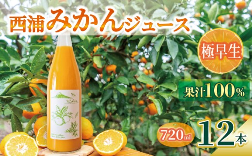 オレンジ ジュース ストレート 果汁 100％ 極早生 みかん 720ml×12本 西浦 蜜柑 濃厚 飲み物 ミカン 人気 贈答用 静岡 沼津