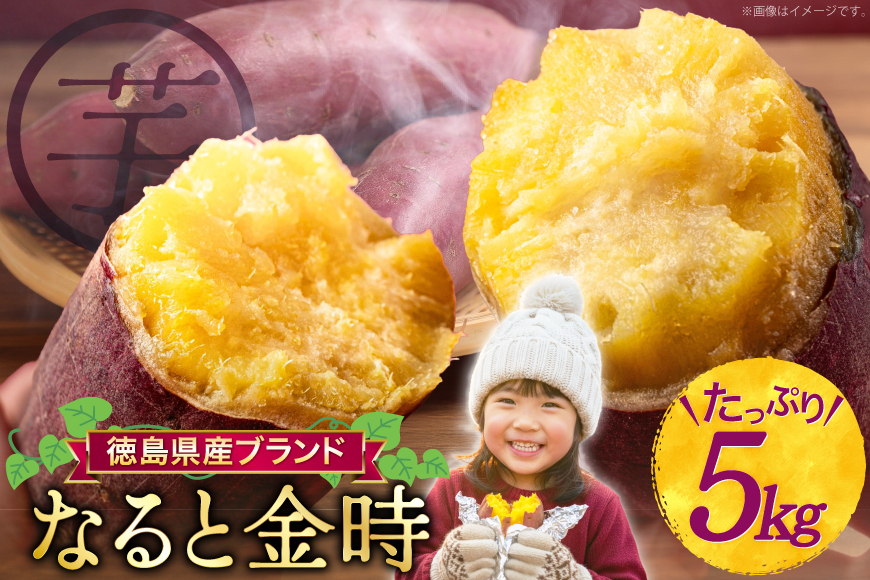 【大人気！】 さつまいも大人気！ さつまいも  なると金時 5kg [天野 均典 徳島県 北島町 29bc0001] サツマイモ さつま芋 鳴門金時 ホクホク 焼き芋 天ぷら 大学芋 スイートポテト 