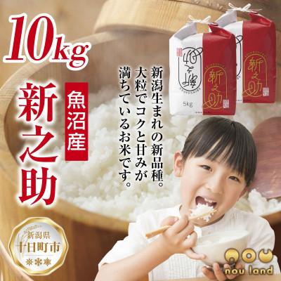ふるさと納税 十日町市 【令和7年産 新米予約】 【新品種】 魚沼産 新之助 10kg  新潟県 十日町市 のうランド