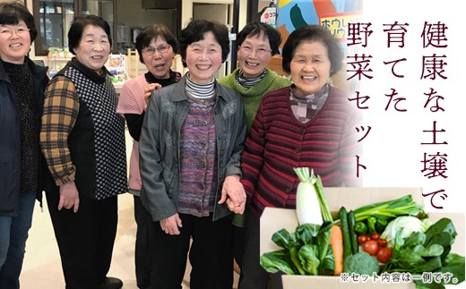 
西会津ミネラル野菜セット（小） F4D-0126
