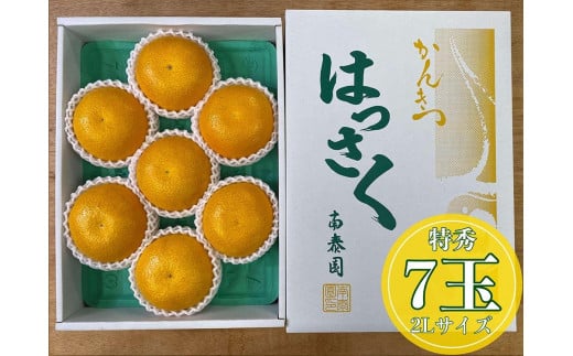 
化粧箱 手詰め 有田 はっさく 特秀 大玉 2L サイズ × 7玉入 南泰園
