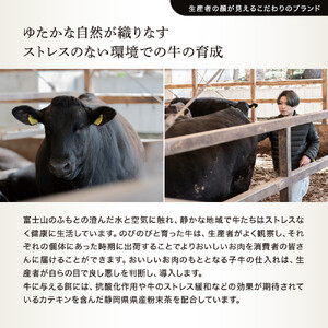 WAGYU DIAMOND FUJI モモ（赤身） ステーキ 300g【配送不可：離島】